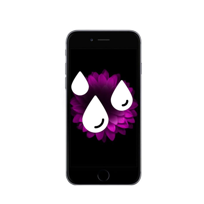 iPhone 6 Series Water Damage 6 - Water Damage
